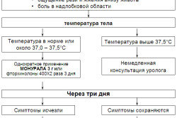Порядок лечения цистита Порядок лечения цистита