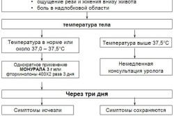 Алгоритм лечения цистита